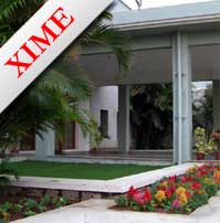 XIME